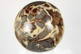 Crystal Filled, Polished Septarian Sphere - Utah #200204-1